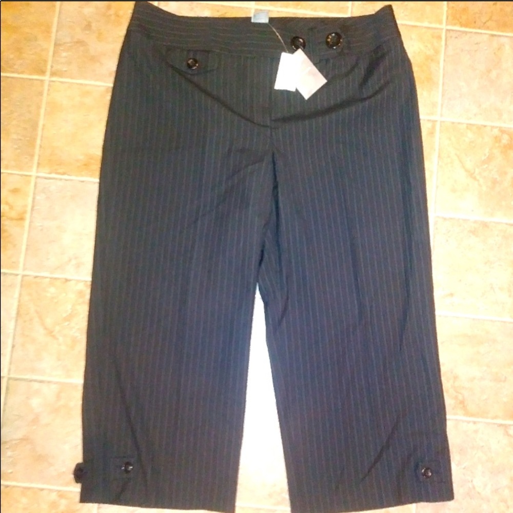 Ann Taylor Lindsay dress capri pants